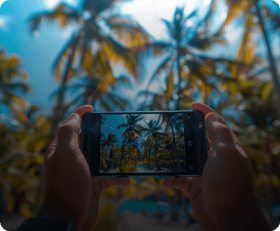 Palms Photo Contest